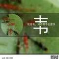 感恩媳妇160头像