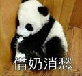 1虾宝贝儿头像