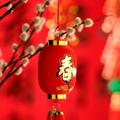 123张伟321头像