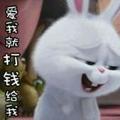 今年OMG了头像