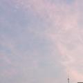 陪伴54305头像