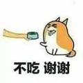 灰鸽鸽鸽鸽273头像
