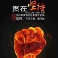 龍大15888908333336033头像