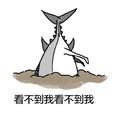 一条闲鱼384头像