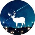 章志星520头像
