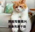 热心网民余大爷 · 星越L车主·车龄3年头像