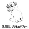 花寂残酒头像