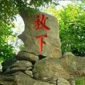 似水流年89659头像