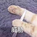 用户789081657754头像