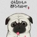 一战金銮头像