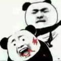 小狮子lin · 宋Pro DM车主·车龄3年头像
