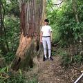人生如戏73733头像