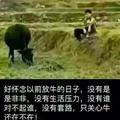 用户4048493897165头像