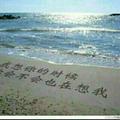 许世诺言215头像