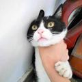 雾里看西瓜丶头像