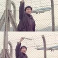 苏逸柚子头像
