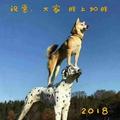 寂若282头像