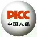 PICC个险车险头像