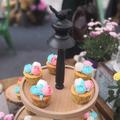 淡了秋天忘了风头像