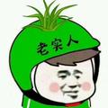 懒蛋ru头像