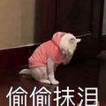 ZANY539头像