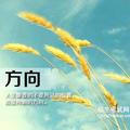 A军681头像