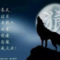 靡之音212头像