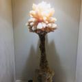 依稀从前头像