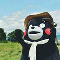晕了晕了0575头像