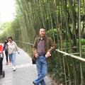 自由年龄头像