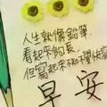 手机用户1860980头像