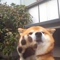 让开让我先来看看评论头像