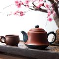 滑翔机573头像
