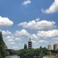 winlily0730头像