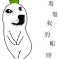 用户8086417246929头像