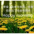 褪癀王头像