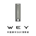 德州WEY头像