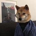 小鱼儿陪你一起 · 海豹车主·车龄1年头像