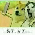 韩65650946头像