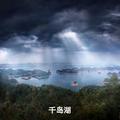 积极的山雀YVa头像