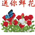 Wjf241头像