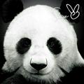 心之锁定头像
