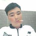 伤心月季头像