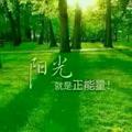 蓝兔70002643头像