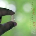 不会玩摄影的牙医不是好司机头像