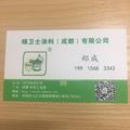 成猪皮头像