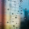 淋湿de雨498头像