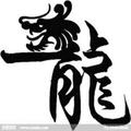 龙泊湾363头像
