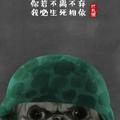 荆棘鸟125头像