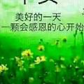 梁贵山头像